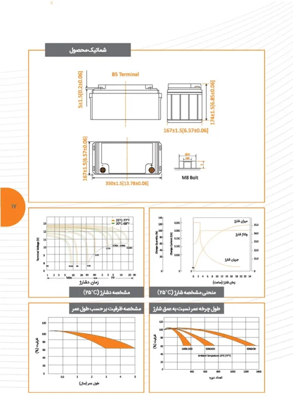 UPS Battery
